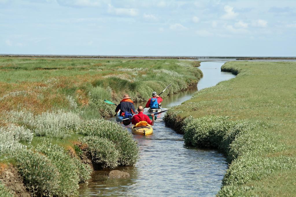 Waddenhoes Gastenverblijven Pieterburen Ngoại thất bức ảnh